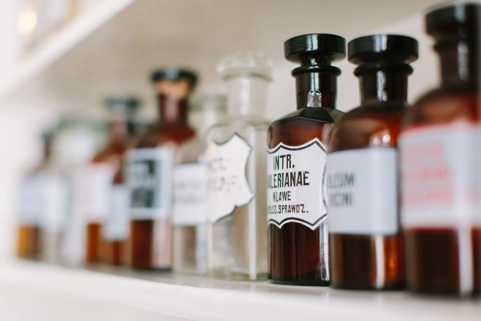 Posso Usar o Nome de uma Empresa que Já Fechou? Guia Completo